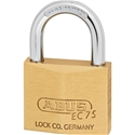 Show Picture 2