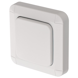 Brennenstuhl BrematicPRO Smart Home Wandschalter für innen und aussen (Funk-Wandtaster zum Kleben oder verschrauben, steuerbar über App) Nr. 1294600