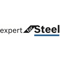 Bosch Kreissägeblatt EXPERT for Steel, 355x25,4x2,6mm, 80 Zähne Nr. 2608643062