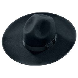 FHB Zimmermannshut LUDWIG, Rand 12cm, imprägniert, mit Innenfutter, 20 schwarz Nr. 89800