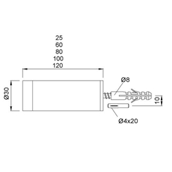 KWS Türpuffer 2070 Edelstahl matt gebürstet Ø 30 mit D/S, L = 60mm Nr. 207082