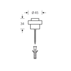 FSB Bodentürstopper, H 34mm, Ø 45mm, Edelstahl, 38 3881, Edelstahl fein matt Nr. 0 38 3881 00000 6204