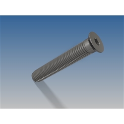 Haps Schrauben zu Türband A300-S ø11x68 Niro Nr. 40 1168 00 00