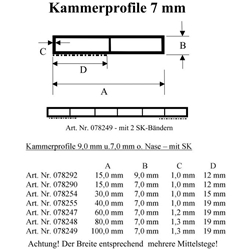 Kammerprofil 60x7mm mit SK ohne Nase, weiß (a 6,00 Meter) Nr. 078247