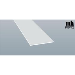 Flachprofil/Winkelprofil 80x2mm mit Sollbruchstelle (a 6,00 Meter) Nr. 416