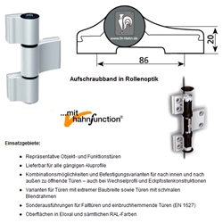Dr. Hahn LM-Türband 4 AT M961GW000, 3-teilig RAL 9016 Verkehrsweiß, Bohrabst. 86mm, Drehp. 20mm, mit Ankerschraube W= 58mm