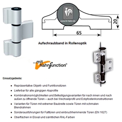 Dr. Hahn LM-Türband 4 AT M951GW815, 3-teilig RAL 9016 Verkehrsweiß, Bohrabst. 65mm, Drehp. 30/20mm, Sonderausführung: 10mm erhöhtes Rahmenbandteil, je 2 Ankerschrauben W= 58mm und M= 74mm