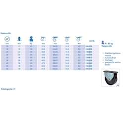 Möbeldesign-Kastenrolle (Gleitlager) Rad-ø 35mm bis 25 Kg Nr. E50.035 PG 50x25mm BH 39mm EAN 4021885000578