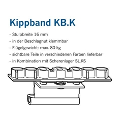 Winkhaus KF-Kippband, verstellbar, DIN Links-Rechts, Stahl KB.K.20-13, weiß, lackiert (MG:C1) 5082081
